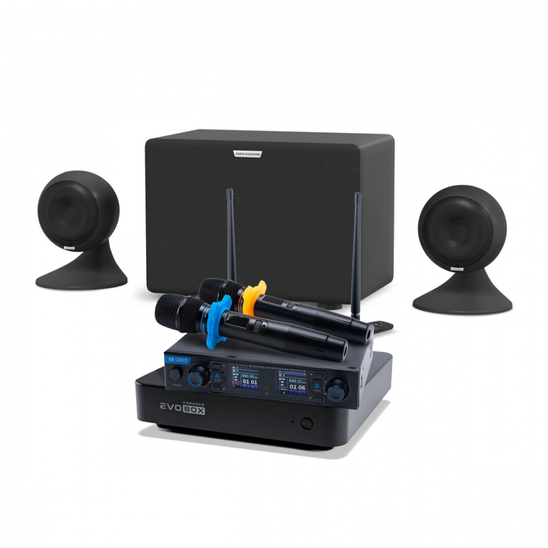 караоке-комплект EVOBOX + EvoSound Sphere 2.1 в Мытищах