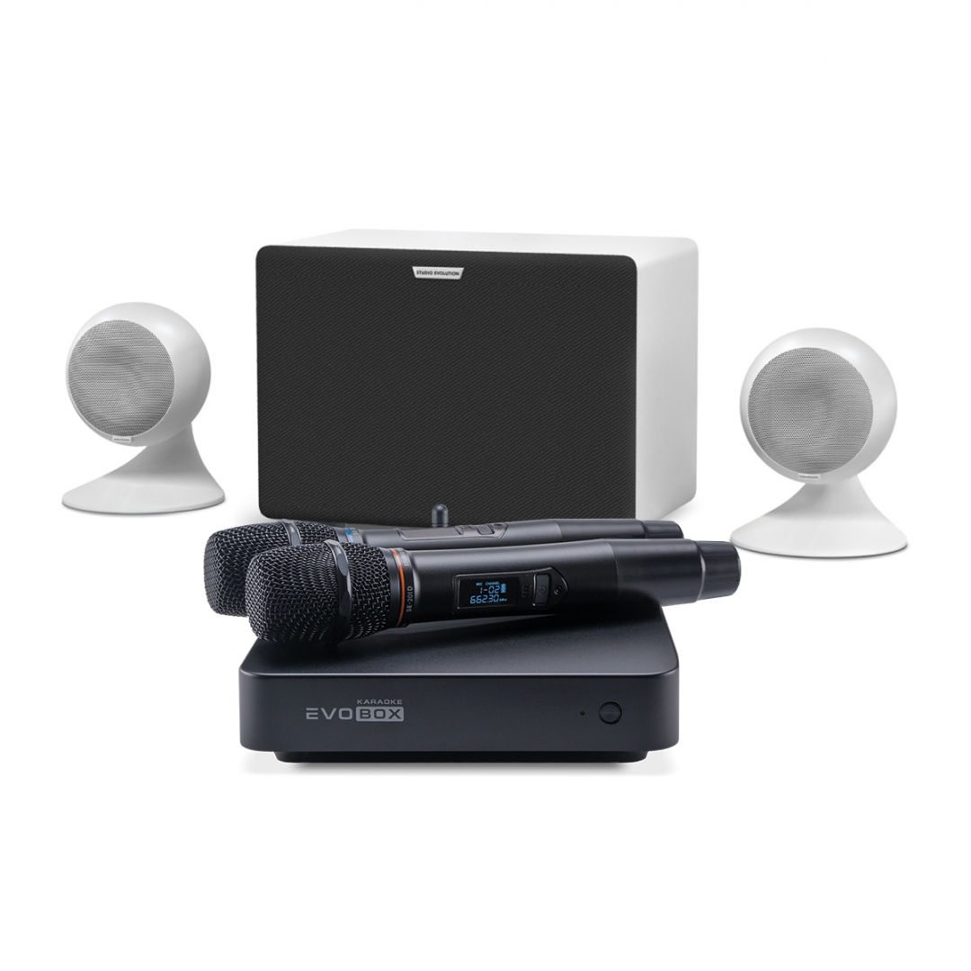 караоке-комплект EVOBOX Classic + EvoSound Sphere 2.1 в Мытищах