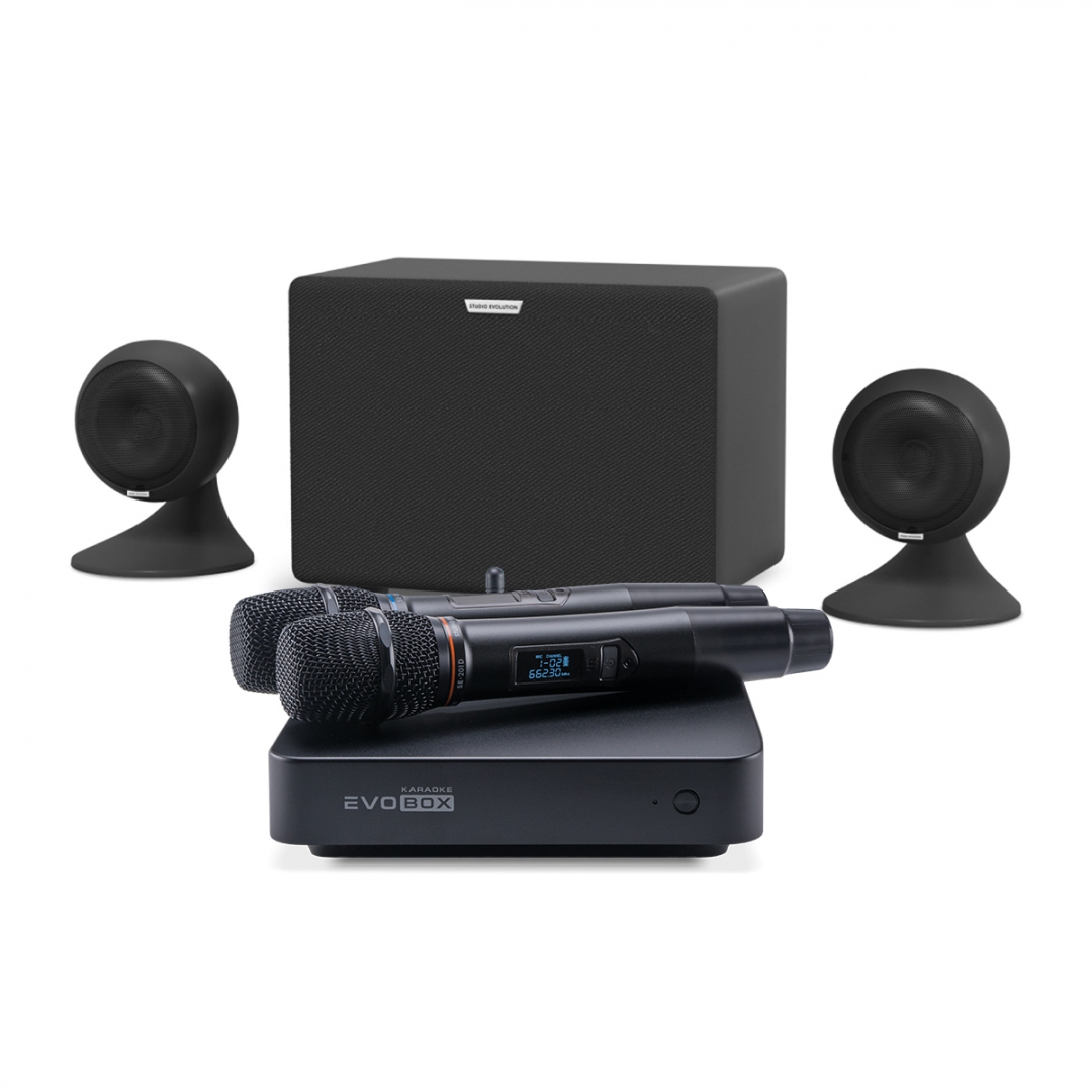 караоке-комплект EVOBOX Plus + EvoSound Sphere 2.1 в Мытищах