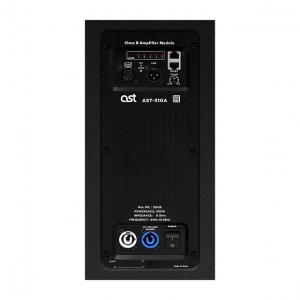 Активная акустическая система AST-310A в Мытищах