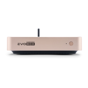 EVOBOX Classic караоке-система для дома в Мытищах