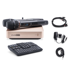 EVOBOX Classic караоке-система для дома в Мытищах