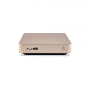 EVOBOX с микрофонами в Мытищах
